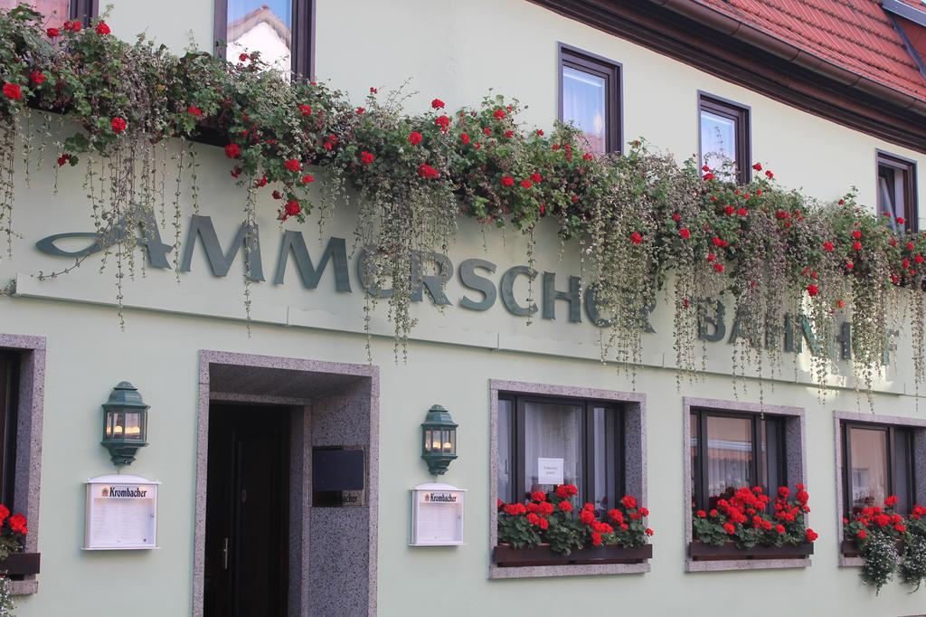 Ammerscher Bahnhof Muehlhausen  Ngoại thất bức ảnh