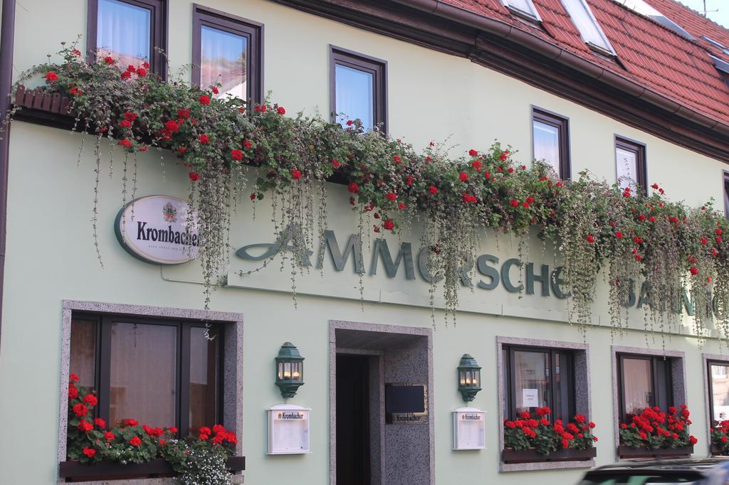 Ammerscher Bahnhof Muehlhausen  Ngoại thất bức ảnh